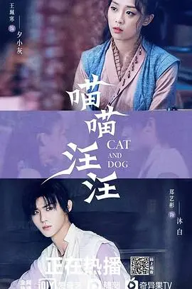 萌宠大作战！《喵喵汪汪》：欢笑与泪水齐飞的动物乌托邦，让你一次笑个够！